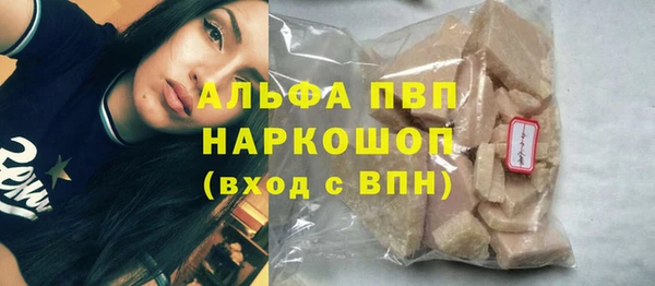 прущие грибы Вязьма