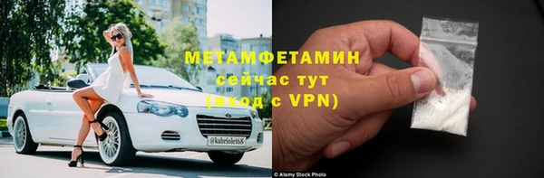 прущие грибы Вязьма