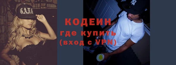 прущие грибы Вязьма