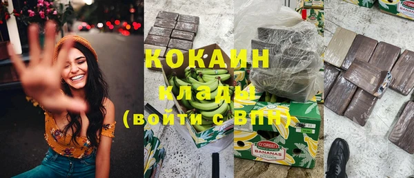 прущие грибы Вязьма