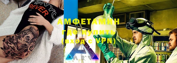 прущие грибы Вязьма