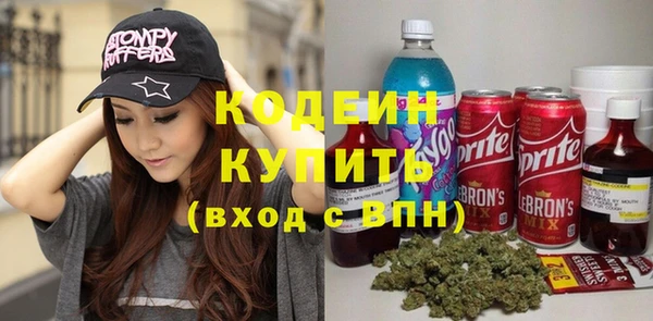 прущие грибы Вязьма