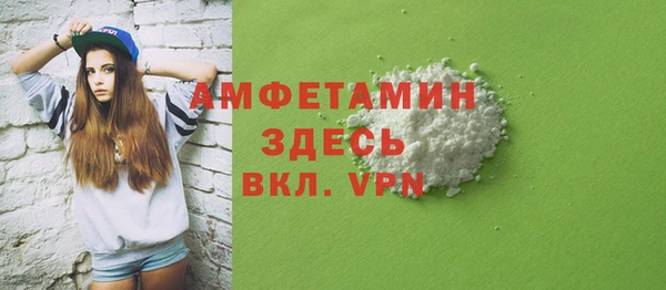 прущие грибы Вязьма